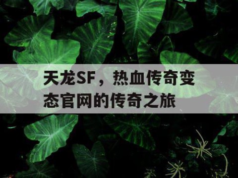 天龙SF，热血传奇变态官网的传奇之旅