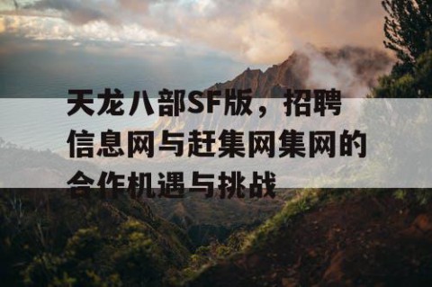天龙八部SF版，招聘信息网与赶集网集网的合作机遇与挑战
