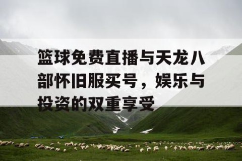篮球免费直播与天龙八部怀旧服买号，娱乐与投资的双重享受