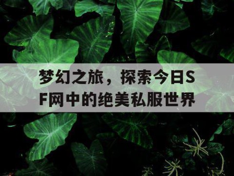 梦幻之旅，探索今日SF网中的绝美私服世界