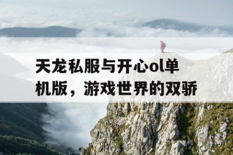 天龙私服与开心ol单机版，游戏世界的双骄
