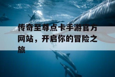 传奇至尊点卡手游官方网站，开启你的冒险之旅