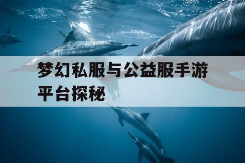 梦幻私服与公益服手游平台探秘
