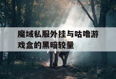 魔域私服外挂与咕噜游戏盒的黑暗较量