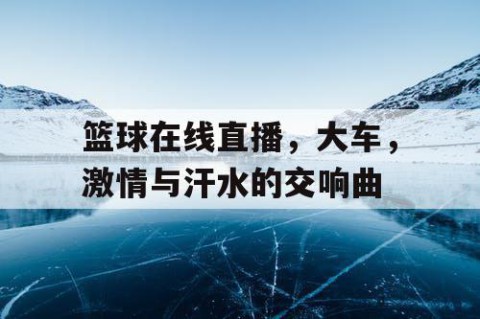 篮球在线直播，大车，激情与汗水的交响曲