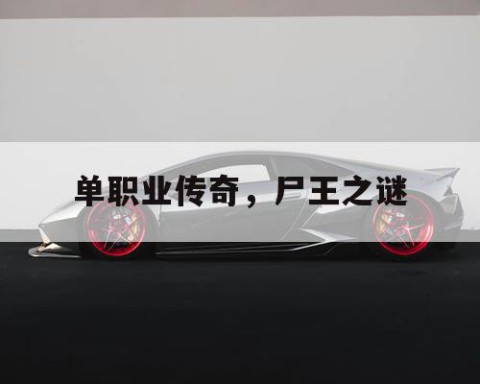 单职业传奇，尸王之谜