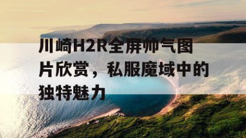 川崎H2R全屏帅气图片欣赏，私服魔域中的独特魅力