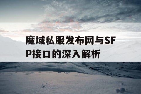 魔域私服发布网与SFP接口的深入解析