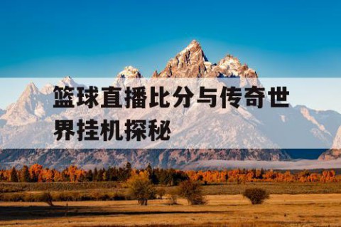 篮球直播比分与传奇世界挂机探秘