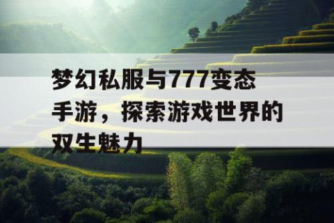 梦幻私服与777变态手游，探索游戏世界的双生魅力