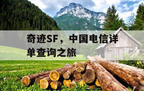 奇迹SF，中国电信详单查询之旅