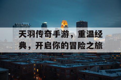 天羽传奇手游，重温经典，开启你的冒险之旅