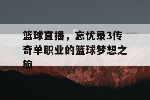 篮球直播,忘忧录3传奇单职业的篮球梦想之旅