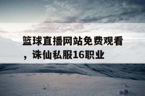 篮球直播网站免费观看,诛仙私服16职业