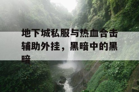 地下城私服与热血合击辅助外挂，黑暗中的黑暗