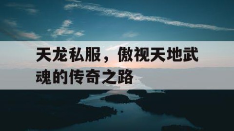天龙私服，傲视天地武魂的传奇之路