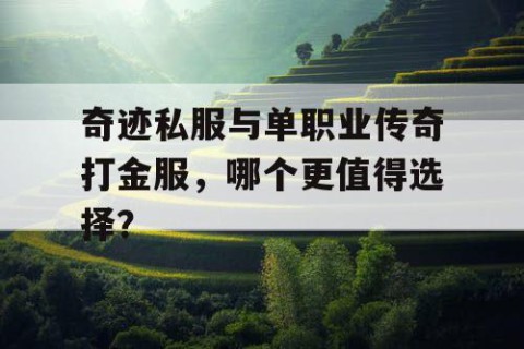 奇迹私服与单职业传奇打金服，哪个更值得选择？