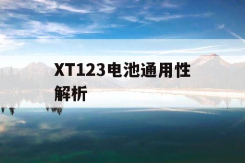 XT123电池通用性解析