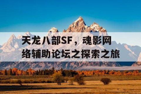 天龙八部SF，魂影网络辅助论坛之探索之旅