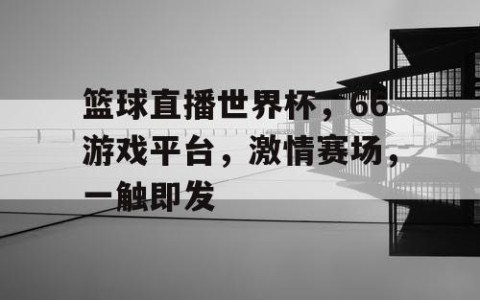 篮球直播世界杯,66游戏平台,激情赛场,一触即发