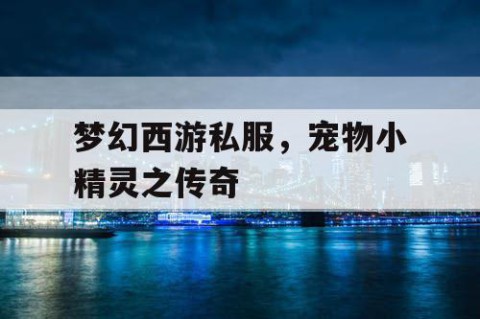 梦幻西游私服，宠物小精灵之传奇