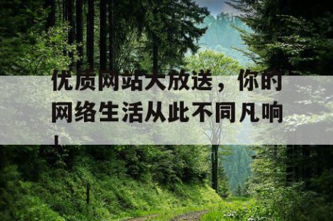 优质网站大放送，你的网络生活从此不同凡响！