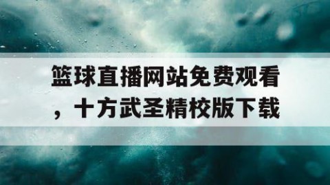 篮球直播网站免费观看,十方武圣精校版下载