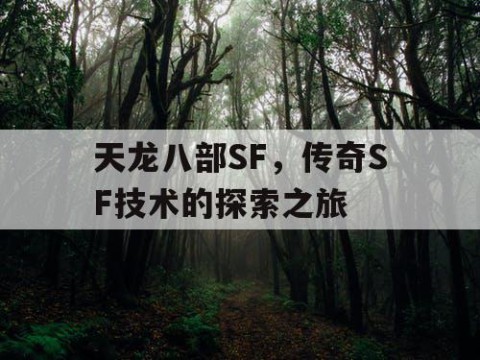 天龙八部SF，传奇SF技术的探索之旅