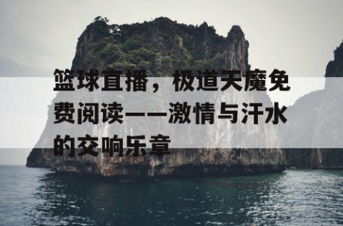 篮球直播,极道天魔免费阅读——激情与汗水的交响乐章