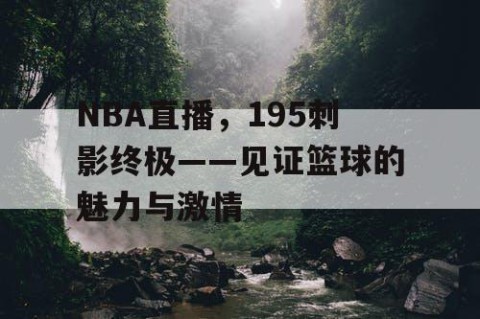 NBA直播,195刺影终极——见证篮球的魅力与激情