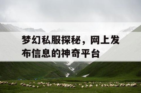 梦幻私服探秘，网上发布信息的神奇平台