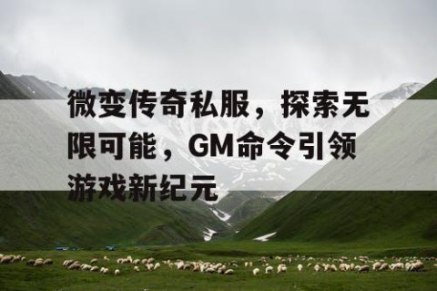 微变传奇私服，探索无限可能，GM命令引领游戏新纪元