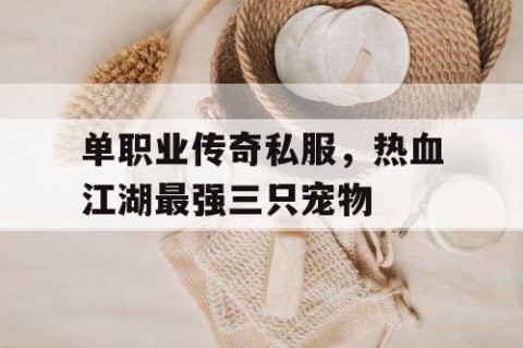 单职业传奇私服，热血江湖最强三只宠物