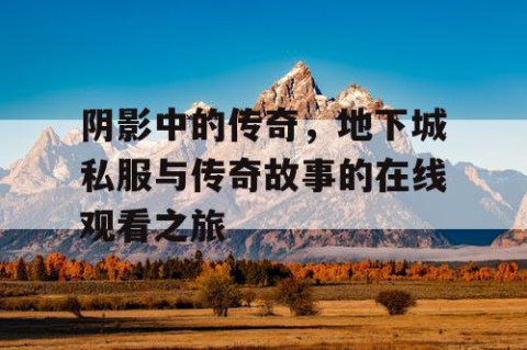 阴影中的传奇，地下城私服与传奇故事的在线观看之旅