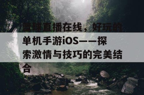 篮球直播在线,好玩的单机手游iOS——探索激情与技巧的完美结合