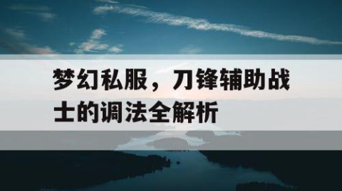 梦幻私服，刀锋辅助战士的调法全解析