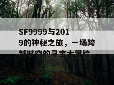 SF9999与2019的神秘之旅，一场跨越时空的寻宝大冒险