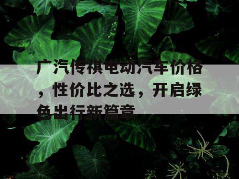 广汽传祺电动汽车价格，性价比之选，开启绿色出行新篇章