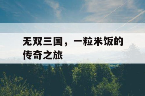 无双三国，一粒米饭的传奇之旅