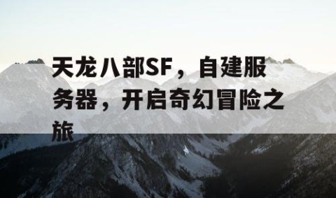 天龙八部SF，自建服务器，开启奇幻冒险之旅