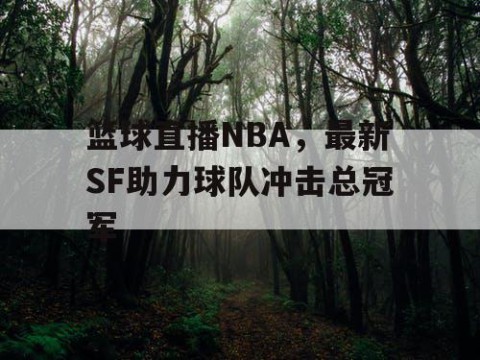 篮球直播NBA，最新SF助力球队冲击总冠军
