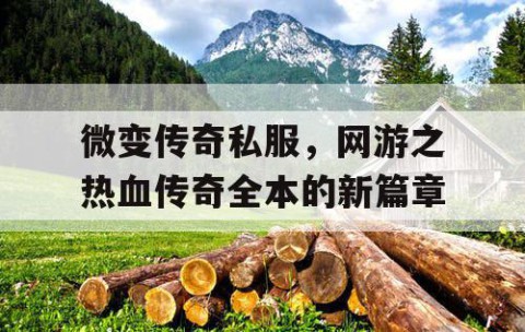 微变传奇私服，网游之热血传奇全本的新篇章
