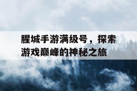 腥城手游满级号，探索游戏巅峰的神秘之旅