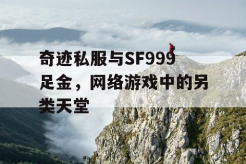 奇迹私服与SF999足金，网络游戏中的另类天堂