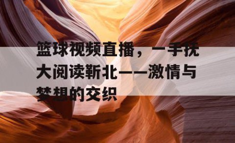 篮球视频直播,一手抚大阅读靳北——激情与梦想的交织