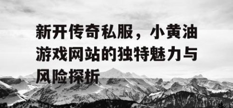 新开传奇私服，小黄油游戏网站的独特魅力与风险探析