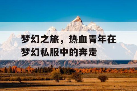 梦幻之旅，热血青年在梦幻私服中的奔走