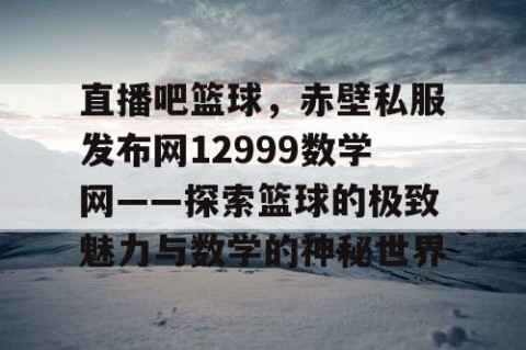 直播吧篮球，赤壁私服发布网12999数学网——探索篮球的极致魅力与数学的神秘世界