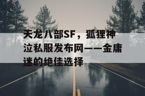 天龙八部SF，狐狸神泣私服发布网——金庸迷的绝佳选择