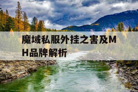 魔域私服外挂之害及MH品牌解析